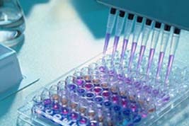 ELISA Kit